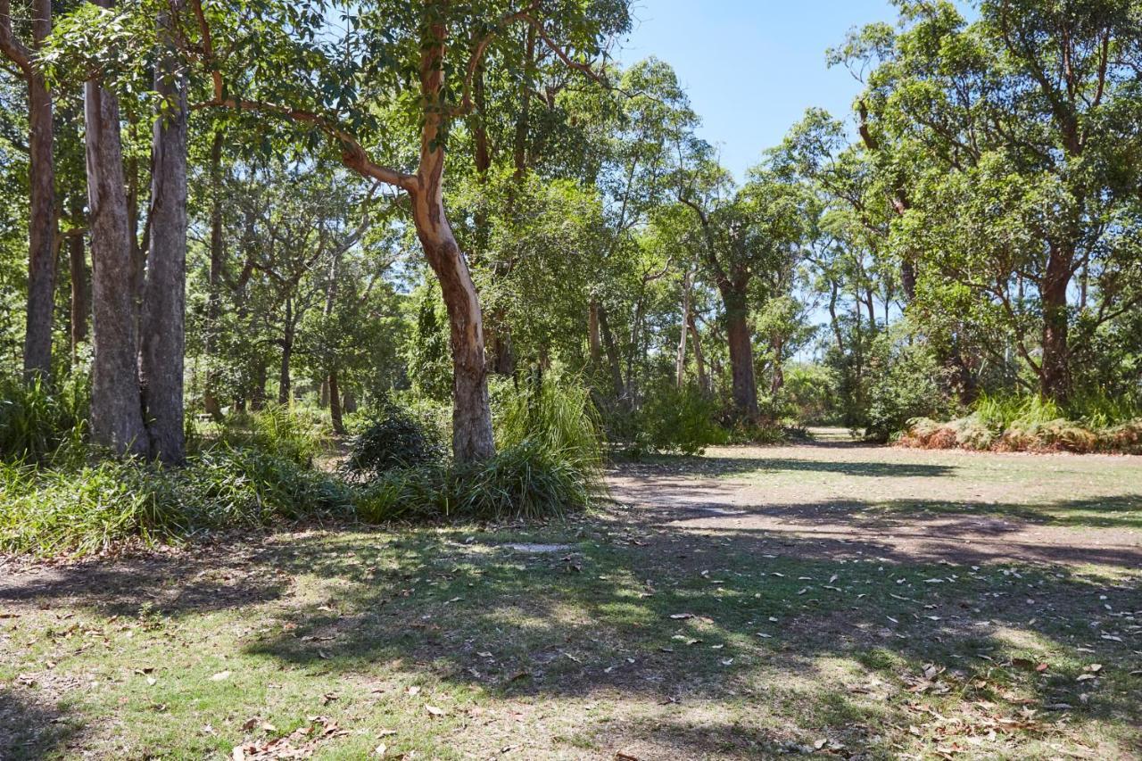 Nrma Darlington Beach Holiday Resort Arrawarra Kültér fotó